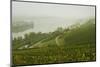 Morning Fog over the River Rhine, Near Lorch, Hesse, Germany, Europe-Jochen Schlenker-Mounted Photographic Print