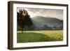 Morning fog over the Schauinsland Strasse, Freiburg Im Breisgau, Black Forest, Baden-Wurttemberg...-null-Framed Photographic Print