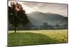 Morning fog over the Schauinsland Strasse, Freiburg Im Breisgau, Black Forest, Baden-Wurttemberg...-null-Mounted Photographic Print