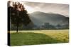 Morning fog over the Schauinsland Strasse, Freiburg Im Breisgau, Black Forest, Baden-Wurttemberg...-null-Stretched Canvas