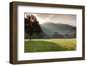 Morning fog over the Schauinsland Strasse, Freiburg Im Breisgau, Black Forest, Baden-Wurttemberg...-null-Framed Photographic Print