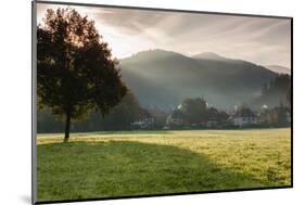 Morning fog over the Schauinsland Strasse, Freiburg Im Breisgau, Black Forest, Baden-Wurttemberg...-null-Mounted Photographic Print