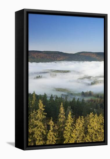 Morning fog over the Schluchsee, Black Forest, Baden-Wurttemberg, Germany-Markus Lange-Framed Stretched Canvas