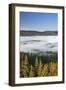 Morning fog over the Schluchsee, Black Forest, Baden-Wurttemberg, Germany-Markus Lange-Framed Photographic Print