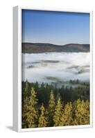 Morning fog over the Schluchsee, Black Forest, Baden-Wurttemberg, Germany-Markus Lange-Framed Photographic Print