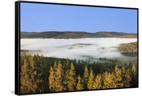 Morning fog over the Schluchsee, Black Forest, Baden-Wurttemberg, Germany-Markus Lange-Framed Stretched Canvas