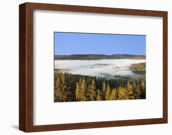 Morning fog over the Schluchsee, Black Forest, Baden-Wurttemberg, Germany-Markus Lange-Framed Photographic Print
