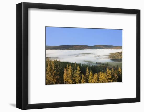 Morning fog over the Schluchsee, Black Forest, Baden-Wurttemberg, Germany-Markus Lange-Framed Photographic Print