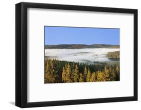 Morning fog over the Schluchsee, Black Forest, Baden-Wurttemberg, Germany-Markus Lange-Framed Photographic Print