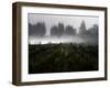 Morning Fog Rises from a Vineyard North of Sonoma, Calif.-null-Framed Photographic Print