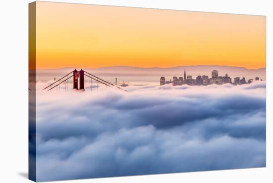 Morning Fog-Dave Gordon-Stretched Canvas