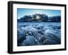 Morning frost in Gorajec, Lublin Voivodeship, Poland-Karol Kozlowski-Framed Photographic Print