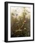 Morning Gathering II-Bilben-Framed Art Print