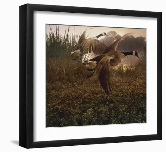 Morning Geese-Steve Hunziker-Framed Art Print