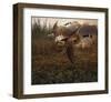 Morning Geese-Steve Hunziker-Framed Art Print