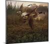 Morning Geese-Steve Hunziker-Mounted Art Print