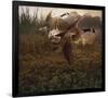 Morning Geese-Steve Hunziker-Framed Art Print
