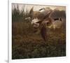 Morning Geese-Steve Hunziker-Framed Art Print