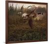 Morning Geese-Steve Hunziker-Framed Art Print