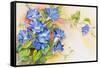 Morning Gloria Vine Stretching-Joanne Porter-Framed Stretched Canvas