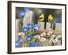 Morning Glories and Finches-William Vanderdasson-Framed Giclee Print