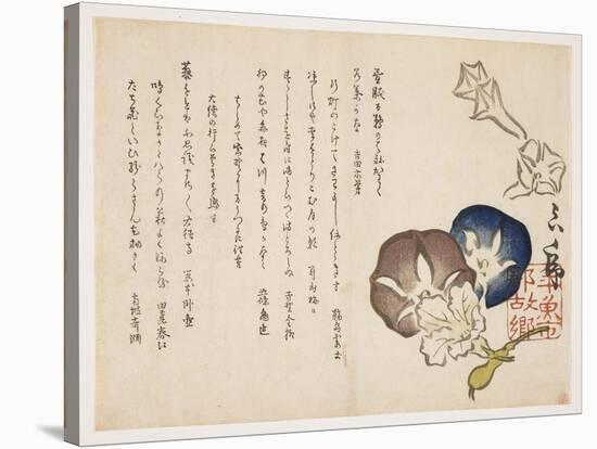 Morning Glories, C.1830-?ishi Matora-Stretched Canvas