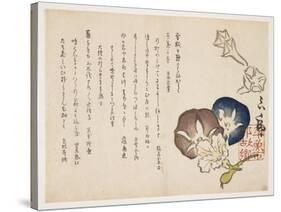 Morning Glories, C.1830-?ishi Matora-Stretched Canvas