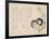 Morning Glories, C.1830-?ishi Matora-Framed Giclee Print