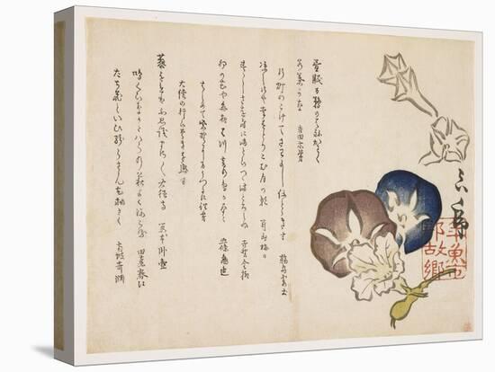 Morning Glories, C.1830-?ishi Matora-Stretched Canvas