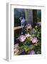 Morning Glories-Michael Budden-Framed Giclee Print