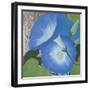 Morning Glorious I-Kathrine Lovell-Framed Art Print