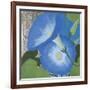 Morning Glorious I-Kathrine Lovell-Framed Art Print