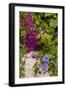 Morning Glory and Bougainvillea Flowers, Princess Cays, Eleuthera, Bahamas-Lisa S^ Engelbrecht-Framed Photographic Print