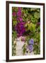 Morning Glory and Bougainvillea Flowers, Princess Cays, Eleuthera, Bahamas-Lisa S^ Engelbrecht-Framed Photographic Print