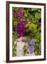 Morning Glory and Bougainvillea Flowers, Princess Cays, Eleuthera, Bahamas-Lisa S^ Engelbrecht-Framed Photographic Print