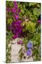 Morning Glory and Bougainvillea Flowers, Princess Cays, Eleuthera, Bahamas-Lisa S^ Engelbrecht-Mounted Photographic Print