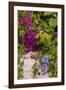 Morning Glory and Bougainvillea Flowers, Princess Cays, Eleuthera, Bahamas-Lisa S^ Engelbrecht-Framed Photographic Print