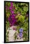 Morning Glory and Bougainvillea Flowers, Princess Cays, Eleuthera, Bahamas-Lisa S^ Engelbrecht-Framed Photographic Print