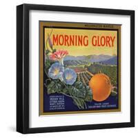 Morning Glory Brand - Pomona, California - Citrus Crate Label-Lantern Press-Framed Art Print