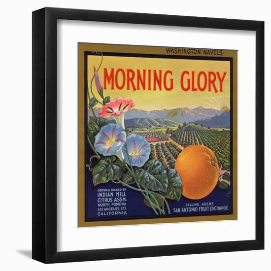 Morning Glory Brand - Pomona, California - Citrus Crate Label-Lantern Press-Framed Art Print