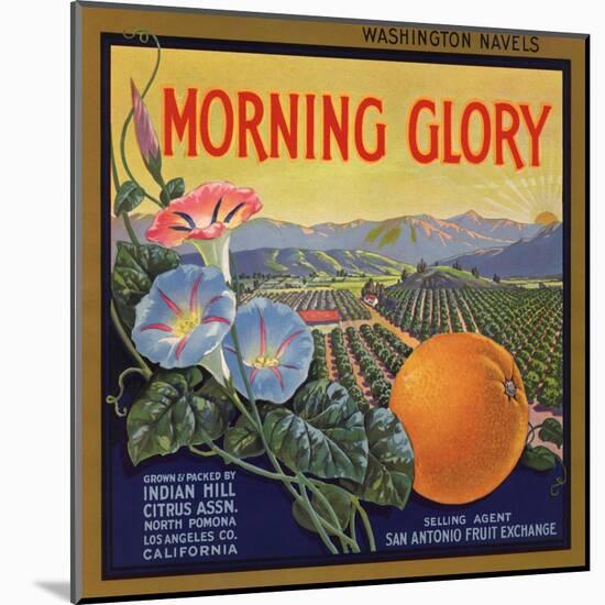 Morning Glory Brand - Pomona, California - Citrus Crate Label-Lantern Press-Mounted Art Print