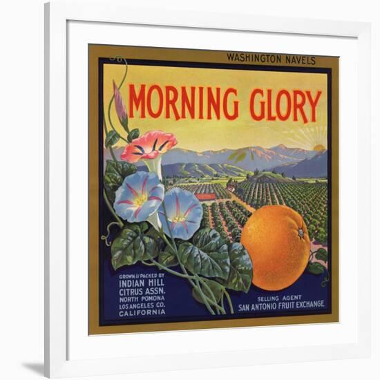 Morning Glory Brand - Pomona, California - Citrus Crate Label-Lantern Press-Framed Art Print