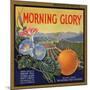 Morning Glory Brand - Pomona, California - Citrus Crate Label-Lantern Press-Mounted Art Print