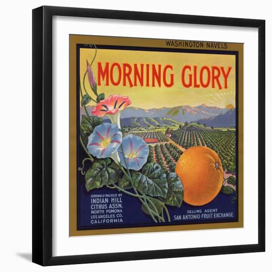 Morning Glory Brand - Pomona, California - Citrus Crate Label-Lantern Press-Framed Art Print