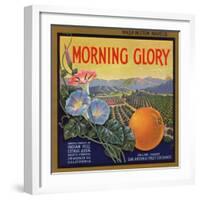 Morning Glory Brand - Pomona, California - Citrus Crate Label-Lantern Press-Framed Art Print