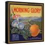 Morning Glory Brand - Pomona, California - Citrus Crate Label-Lantern Press-Framed Stretched Canvas