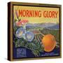 Morning Glory Brand - Pomona, California - Citrus Crate Label-Lantern Press-Stretched Canvas