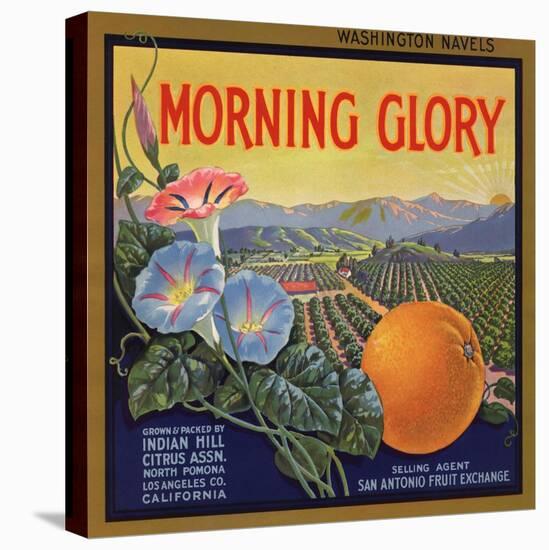 Morning Glory Brand - Pomona, California - Citrus Crate Label-Lantern Press-Stretched Canvas