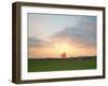 Morning Glory II-Doug Chinnery-Framed Photographic Print