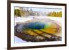 Morning Glory in Snow. Yellowstone National Park, Wyoming.-Tom Norring-Framed Photographic Print